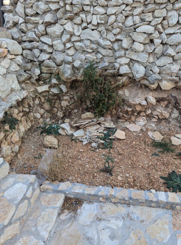 462558501_582736447506054_2980471369318159183_n