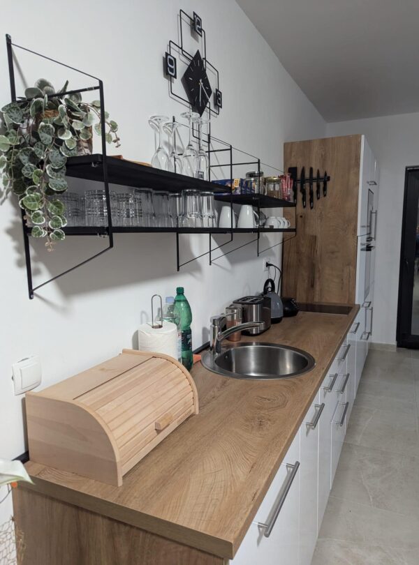 462574758_880480474236568_7593988677956141216_n